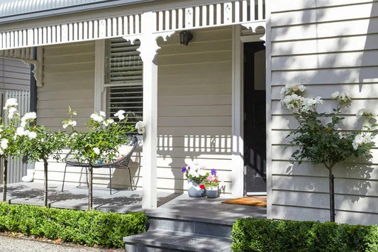Spring Clean Your Finances with a Fresh Loan Review